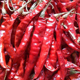 Teja Red Chilli(Guntur Teja Chilli) 100g 
